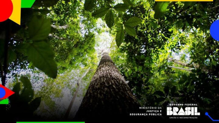 Justiça brasileira lança edital para pesquisa sobre crimes ambientais na Amazônia Legal