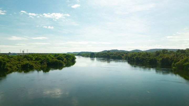 Pesquisa científica brasileira sobre a Amazônia é apresentada na Alemanha