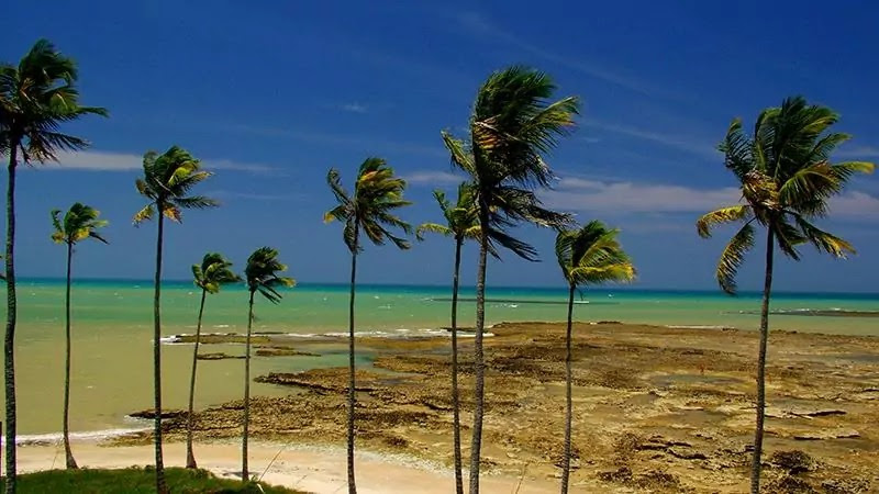 Descobrindo a Bahia: Encantos em Prado, Itacaré e Trancoso