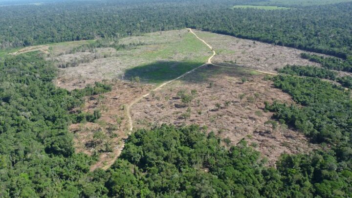 AGU cobra R$ 292 milhões de infrator ambiental por emissões de gases do efeito estufa