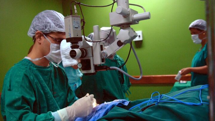 Ministério da Saúde destina incremento financeiro de até 80% para transplantes de órgãos e medula óssea