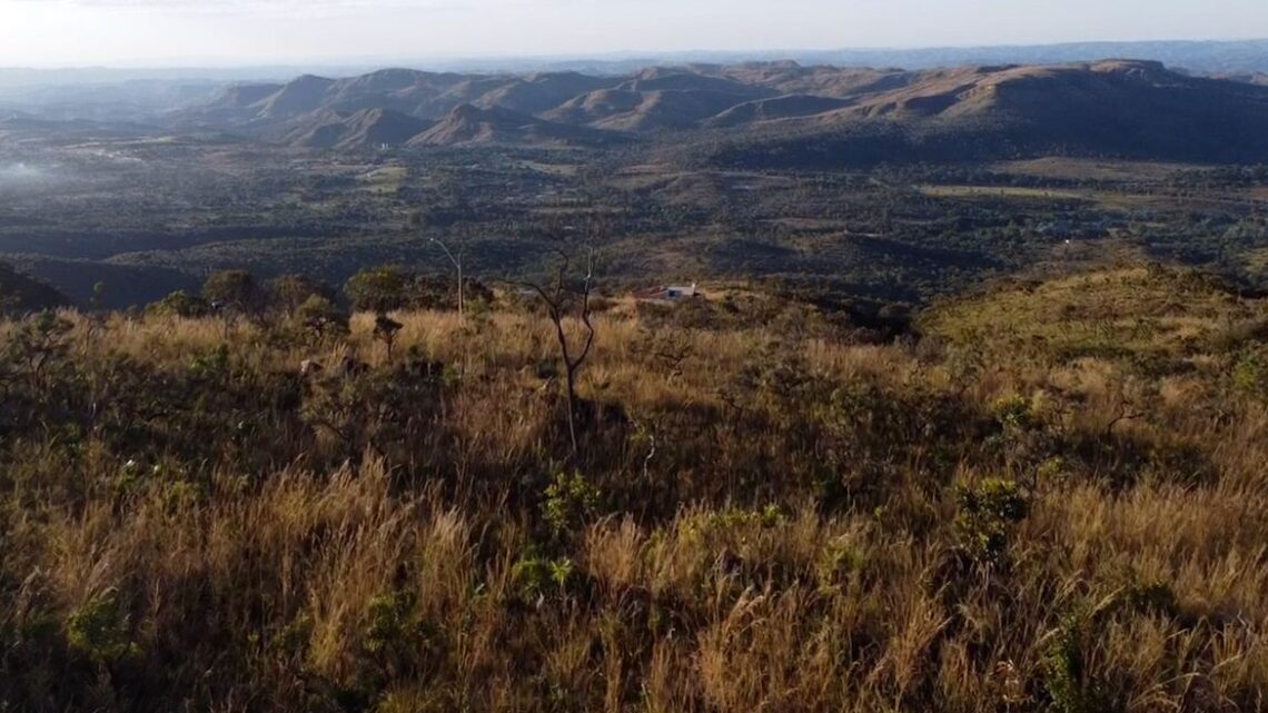 Olhar voltado para a Amazônia ameaça sobrevivência do Cerrado