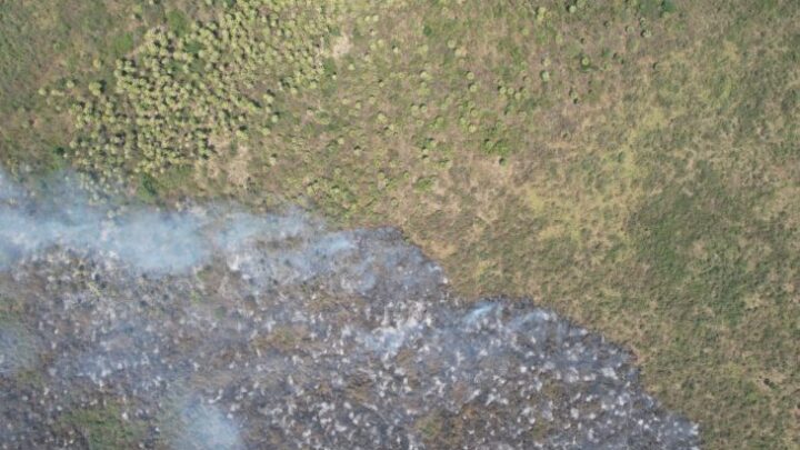 Projeto em MS apoiado pela Fundect pretende prevenir incêndios no Pantanal