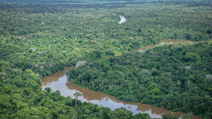 Fundo Amazônia recebe doações de Suíça e Estados Unidos