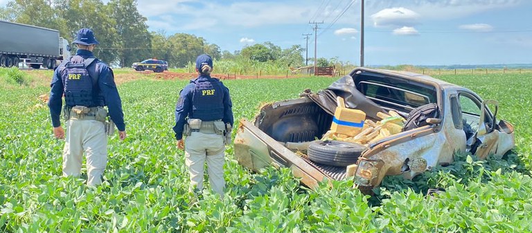 PRF apreende 556 Kg de maconha em Campo Grande (MS)