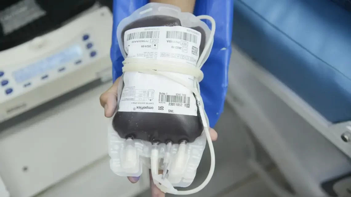 Doação de sangue: período crítico requer maior volume de doações; veja critérios e benefícios