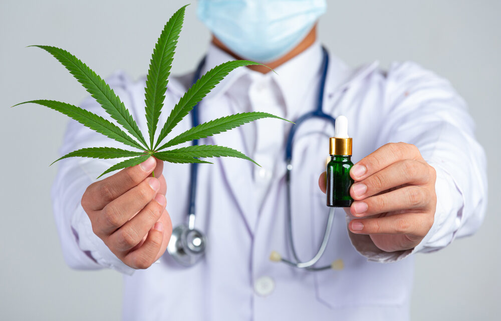 Cannabis e saúde mental: o canabidiol pode substituir os medicamentos alopáticos?