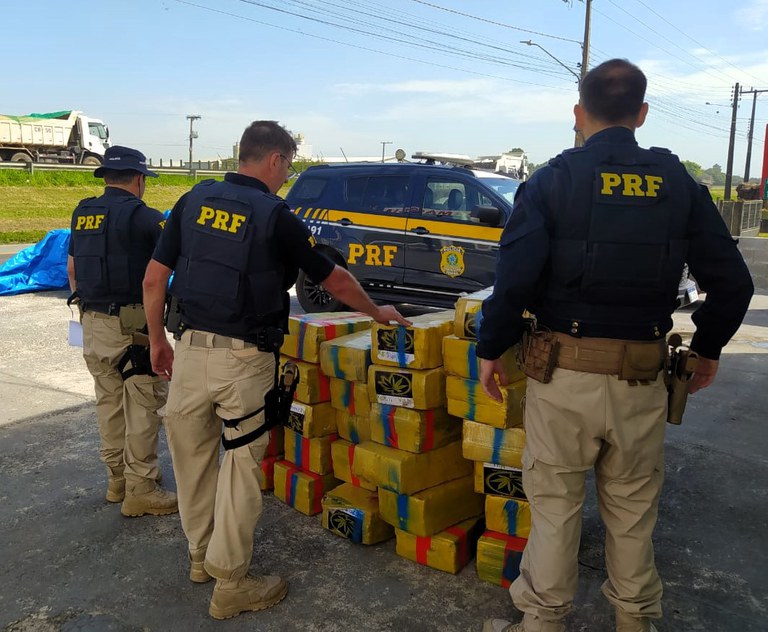 Mais de meia tonelada de maconha é localizada em carro e carretinha na BR-101 em Araranguá