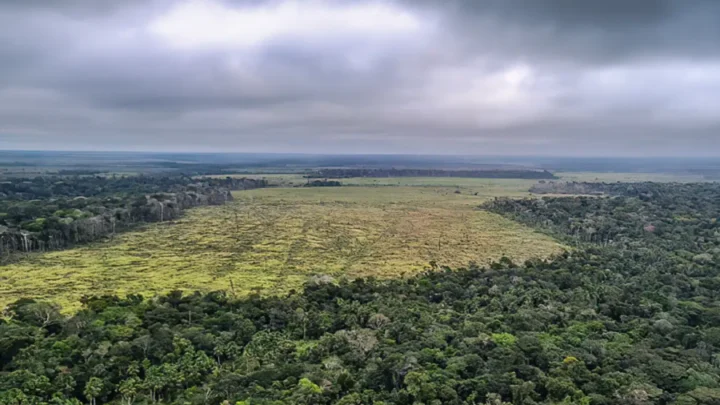 TerraClass apresenta resultados do mapeamento da cobertura e do uso da terra na Amazônia e Cerrado