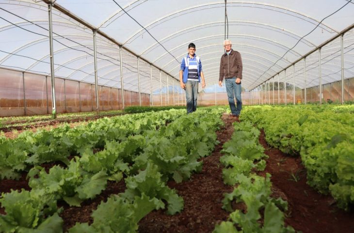 Fundect lança edital de extensão para agricultores familiares, povos originários e comunidades tradicionais