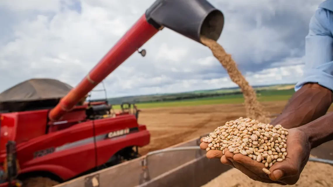 Produção de grãos deve atingir 312 milhões de toneladas