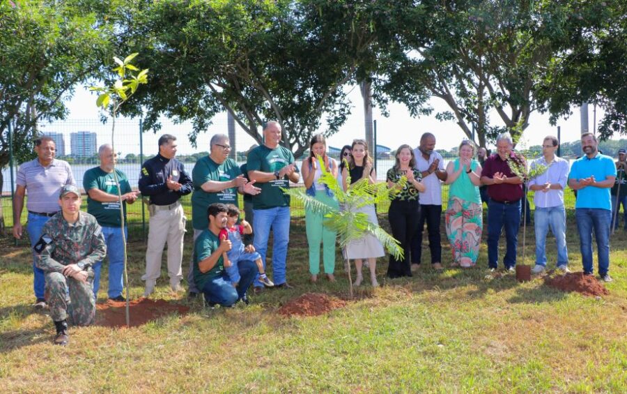 Conheça o projeto que plantará 1.000 árvores em Três Lagoas no ano de 2024