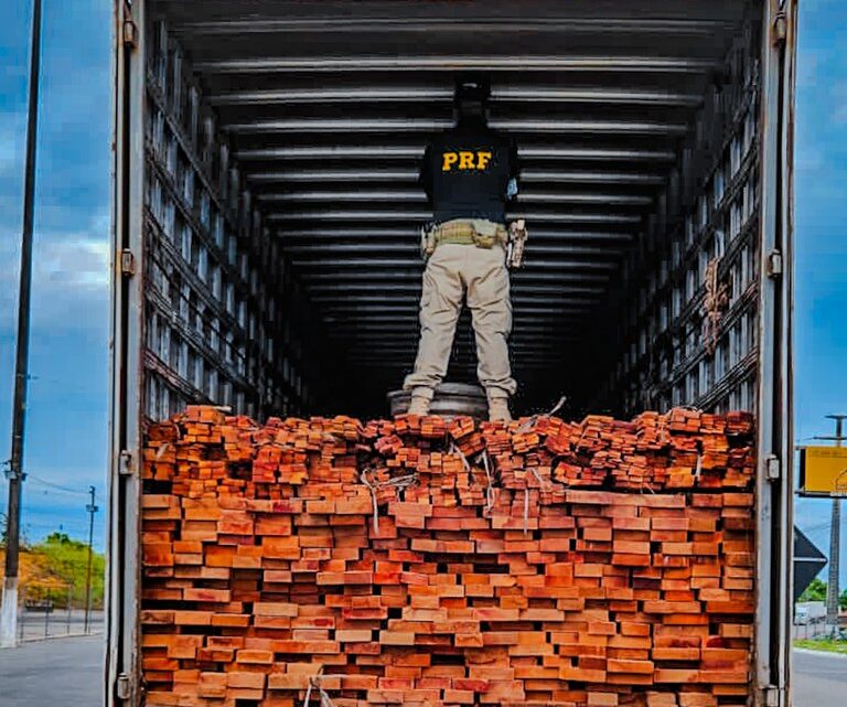 Motorista sem habilitação é preso por transporte ilegal de madeira