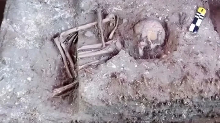 Construtora encontra ossadas e peças arqueológicas em obra no Maranhão