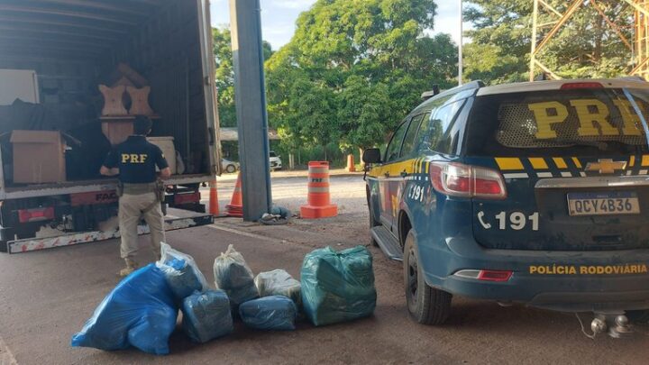 PRF apreende 50kg de Maconha em caminhão de mudança em Cáceres – MT