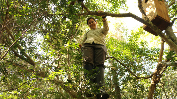 Pesquisadora do IPÊ é uma das premiadas como mulheres que impactam de forma positiva a conservação no mundo