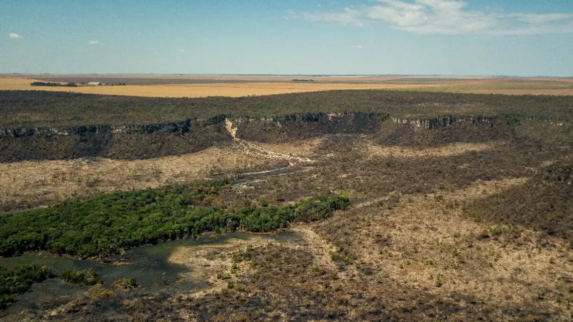 Governo monta força-tarefa para conter desmatamento no Cerrado