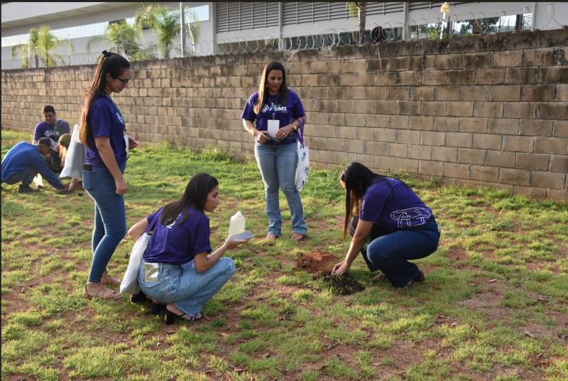 Plantio de árvores compensa carbono gerado durante Convenção Fiems