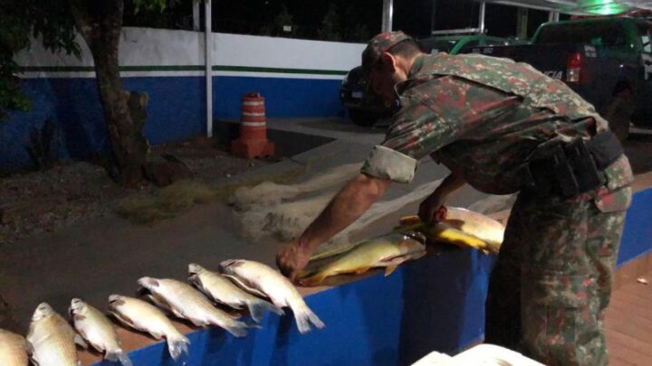 Durante primeiro final de semana de pesca aberta, a Polícia Militar Ambiental aplica R$ 53.624,00 em multas e apreende 114 kg de pescado
