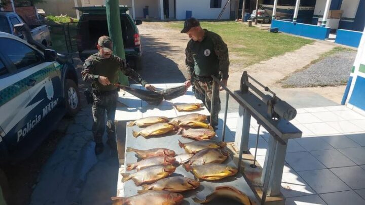 PMA de Porto Murtinho apreende 136 kg de pescados