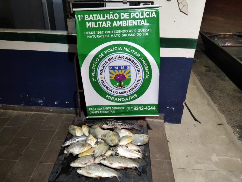 PMA DE MIRANDA PRENDE PESCADORES, DURANTE OPERÇÃO SEMANA SANTA, COM PESCADO FORA DA MEDIDA E TARRAFA