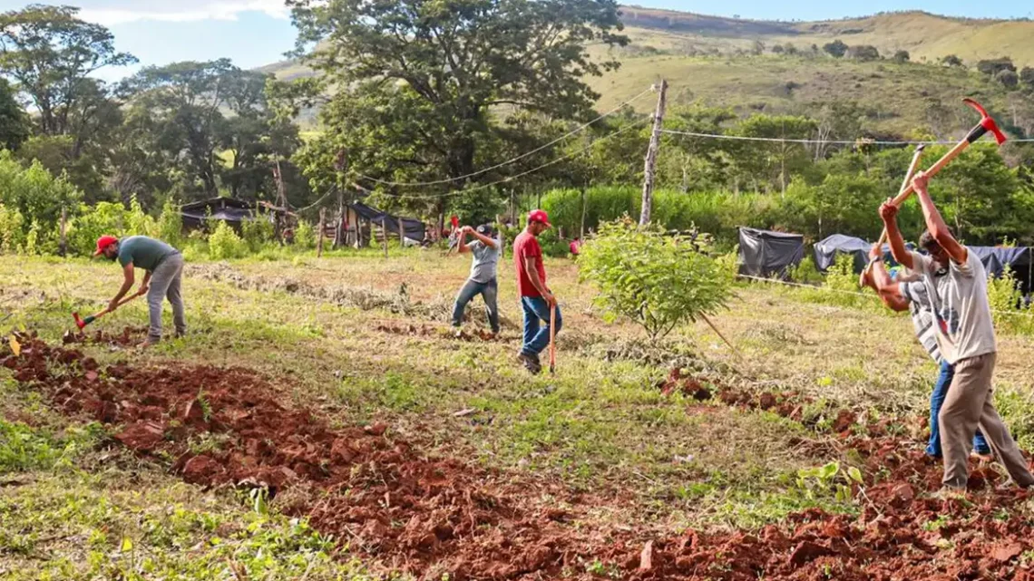 Justiça nega reintegração em fazenda ocupada pelo MST em Minas Gerais