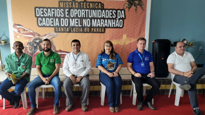 Missão técnica aponta desafios e oportunidades da cadeia produtiva do mel no Maranhão