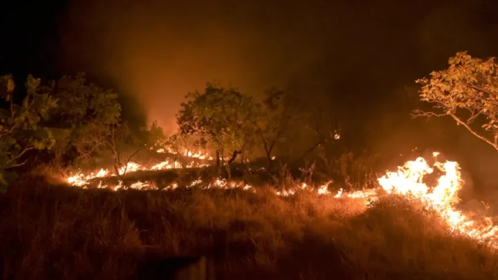 Seca faz incêndios em florestas maduras crescerem 152% na Amazônia