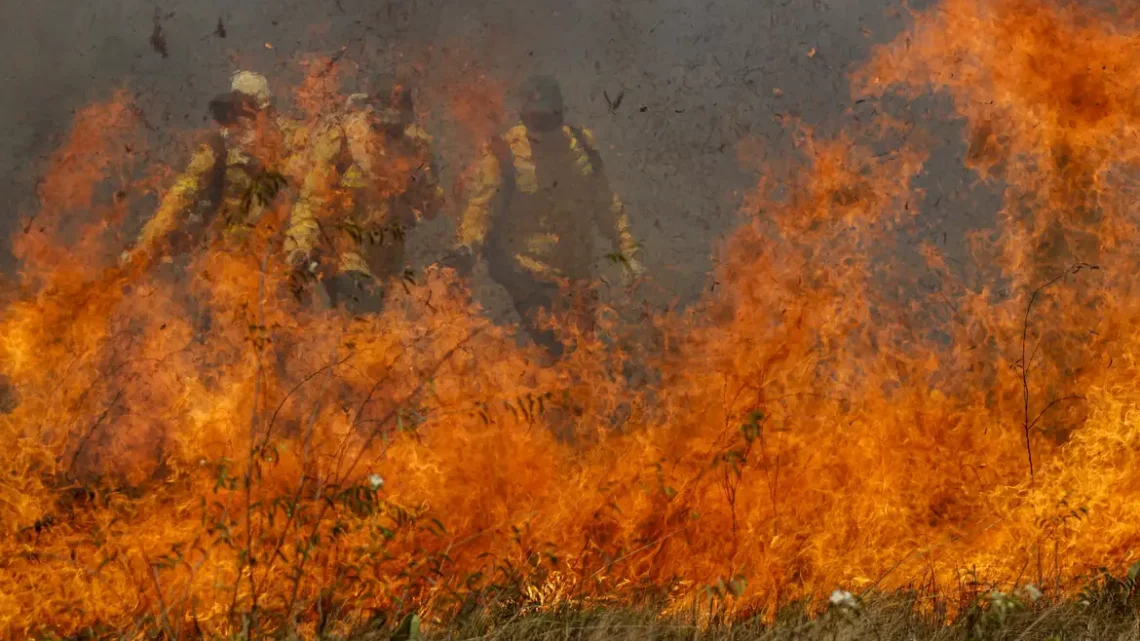 Incêndios no Pantanal ficam 40% mais intensosdevido às mudanças climáticas