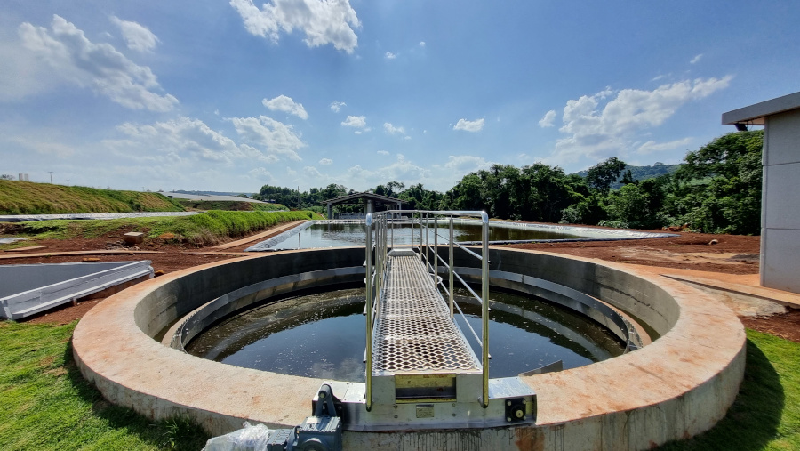 Cargill e Coopavel comprovam sucesso da nutrição animal de leitões