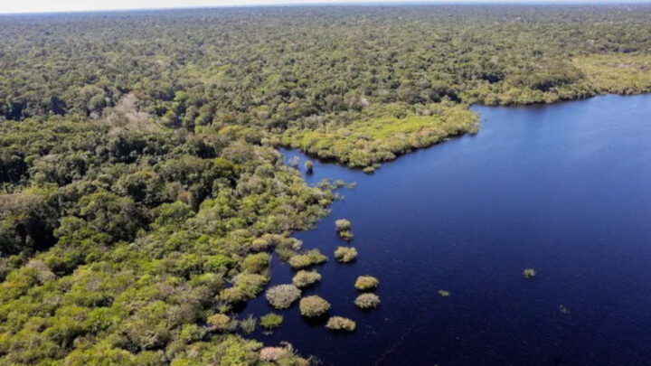 Plano Clima Participativo: Governo percorre o Brasil para discutir emergência climática com a população