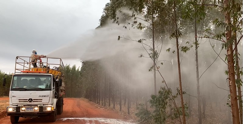 Com mais de 700 brigadistas empenhados, Suzano reforça ações de prevenção e combate a incêndios florestais em MS