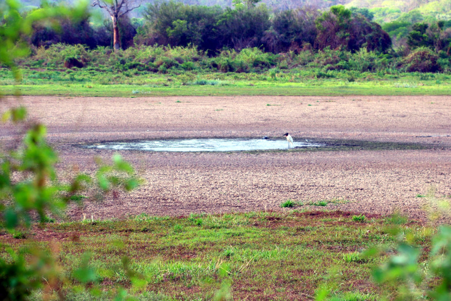 Mesmo após chuvas na Bacia do Rio Paraguai, cotas seguem abaixo da média