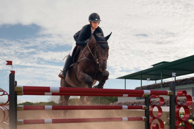 Olimpíadas 2024: conheça tecnologia que pode ajudar na reabilitação física de cavalos do hipismo