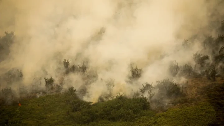 Defesa Civil de SP emite alerta para risco de incêndios florestais