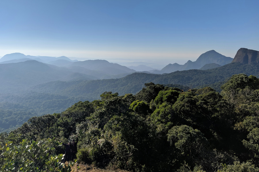 Lactec é novo membro do Pacto pela Restauração da Mata Atlântica