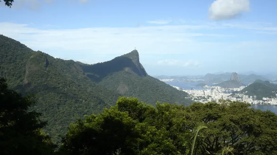 Número de incêndios florestais no Rio de Janeiro já aumentou 85% neste ano