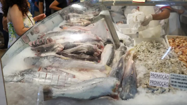 Semana do pescado pretende aumentar consumo do produto em 30%