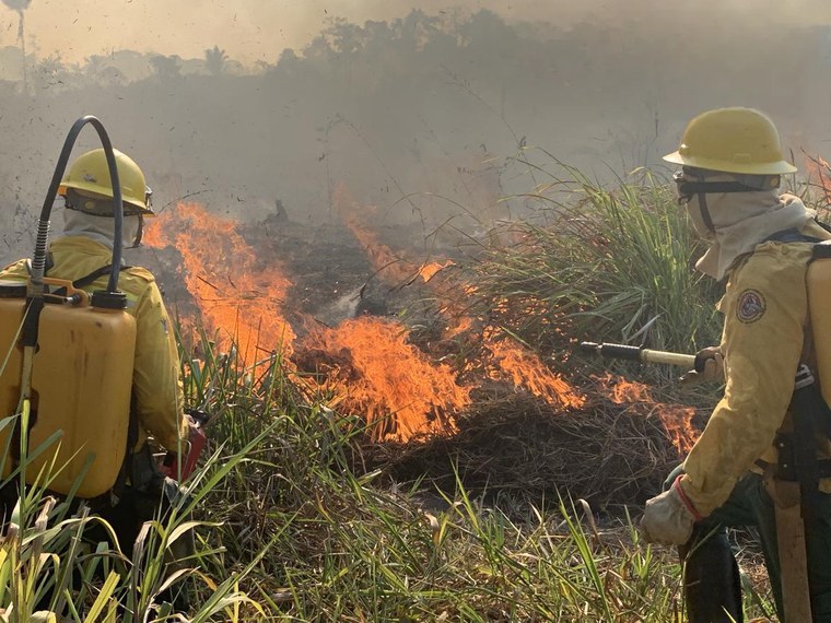 AGU aciona autores de queimadas em vegetação nativa e cobra R$ 89 milhões