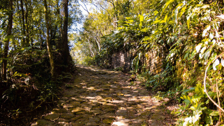 Confira três parques naturais brasileiros para visitar na semana de recesso escolar com descontos de até 30%