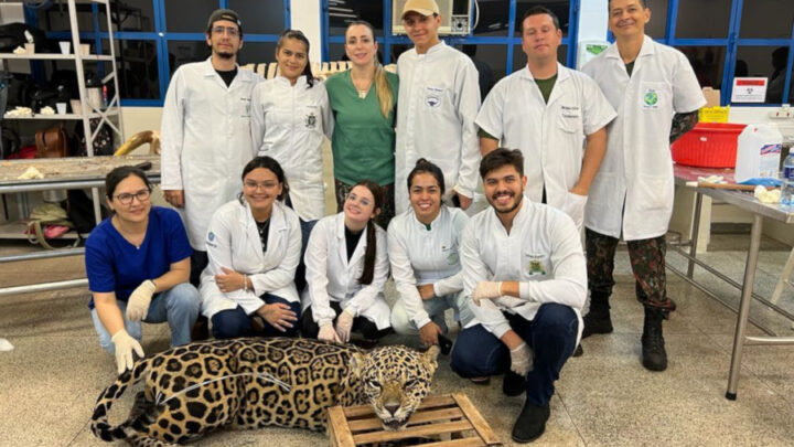 Polícia Militar Ambiental Realiza Curso de Taxidermia em Parceria com a Uniderp-Anhanguera