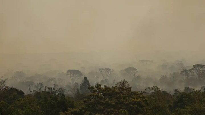 Polícia Federal detém um dos suspeitos de provocar incêndios no DF e na Chapada dos Veadeiros