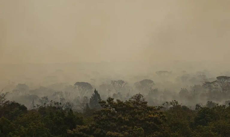 Polícia Federal detém um dos suspeitos de provocar incêndios no DF e na Chapada dos Veadeiros