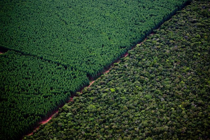 Suzano firma parceria com a CMAK AgroForest para impulsionar o desenvolvimento tecnológico no campo