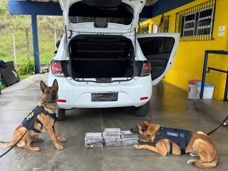 PRF localiza cocaína em painel de veículo na BR-116 na Região Metropolitana de Curitiba