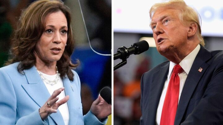 Trump x Harris: Casas de apostas nos EUA apontam republicano com 62,4% de chances de vencer eleição