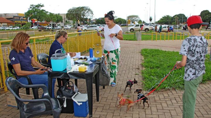 Secretaria de Saúde realizará mais um plantão de vacinação antirrábica na Feira Central