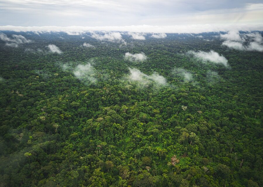 Três coisas que você precisa saber sobre a COP 29