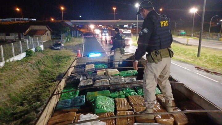 PRF apreende 11 toneladas de maconha na rodovia Régis Bittencourt