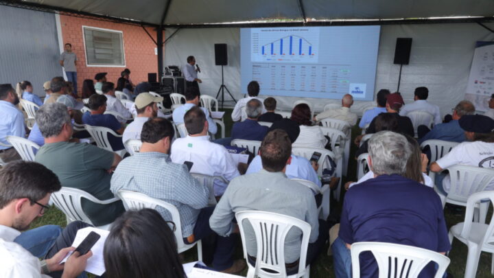 Dia de Campo na CRIO reforça potencial de crescimento do Brangus nacional no mercado